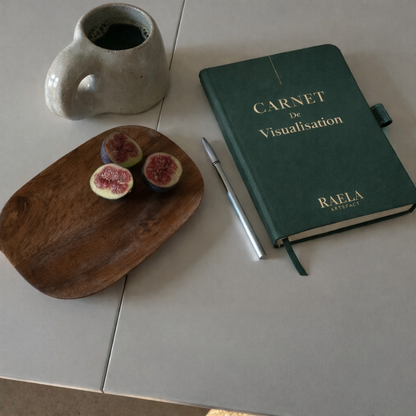 Carnet de Visualisation